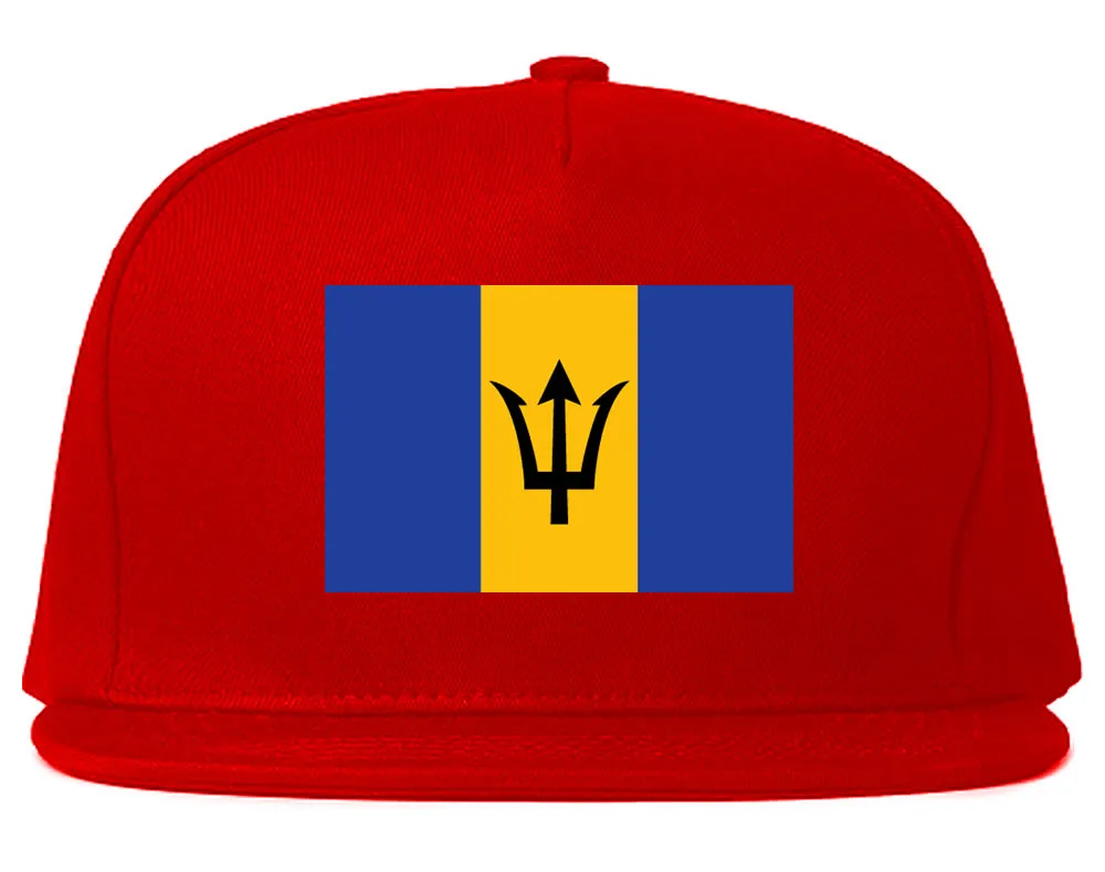 Barbados Flag Country Printed Snapback Hat Cap