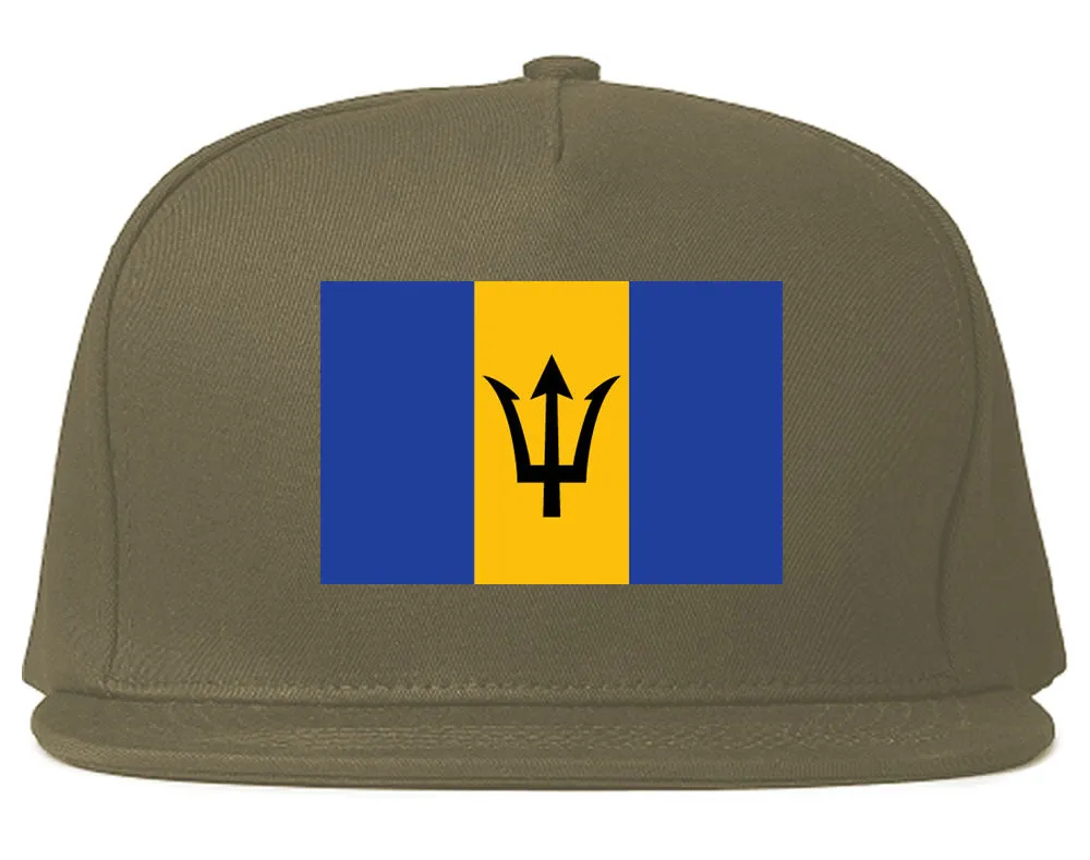 Barbados Flag Country Printed Snapback Hat Cap