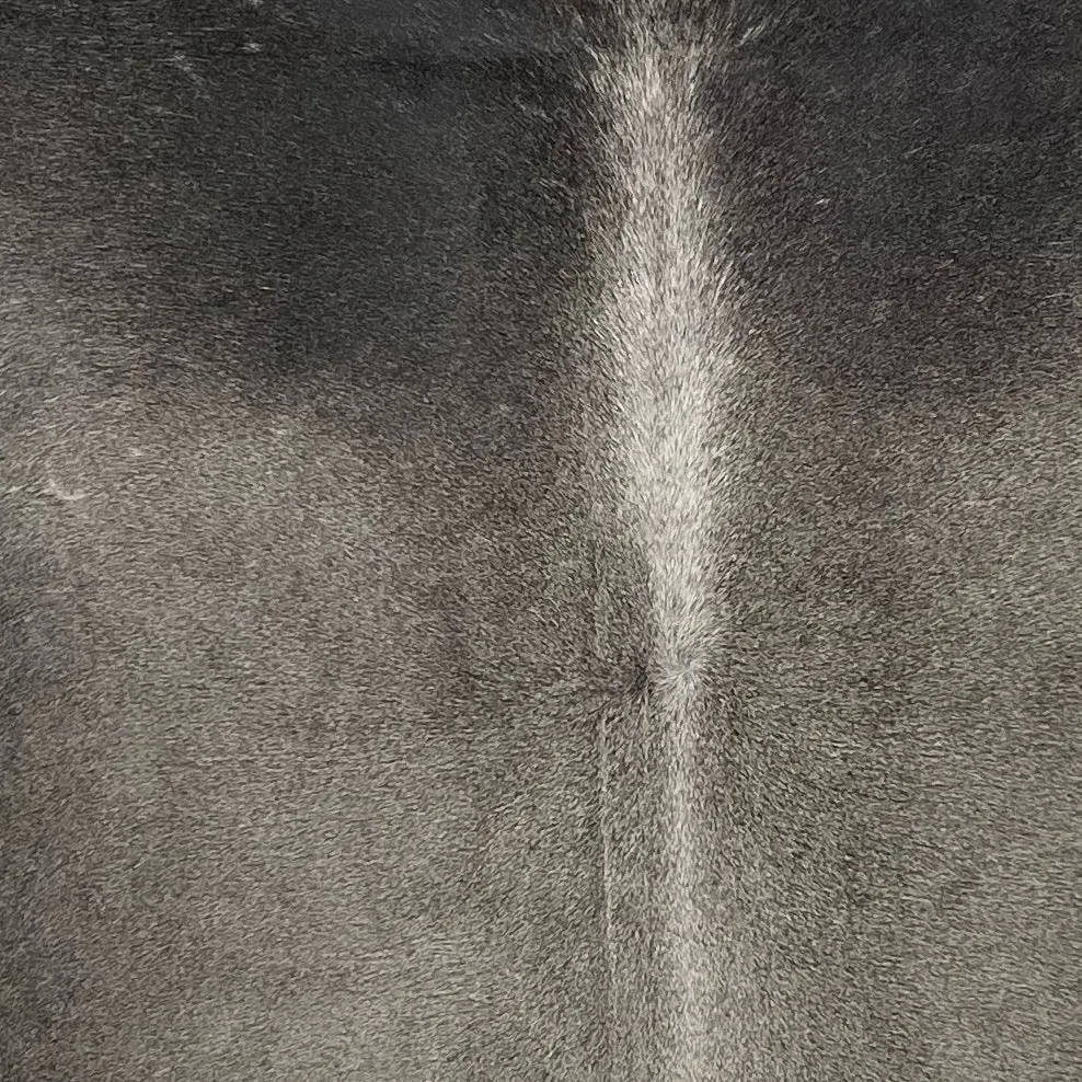 Large Two Tone Gray Brazilian Cowhide - 7'10" x 5'11" (BRGR255)