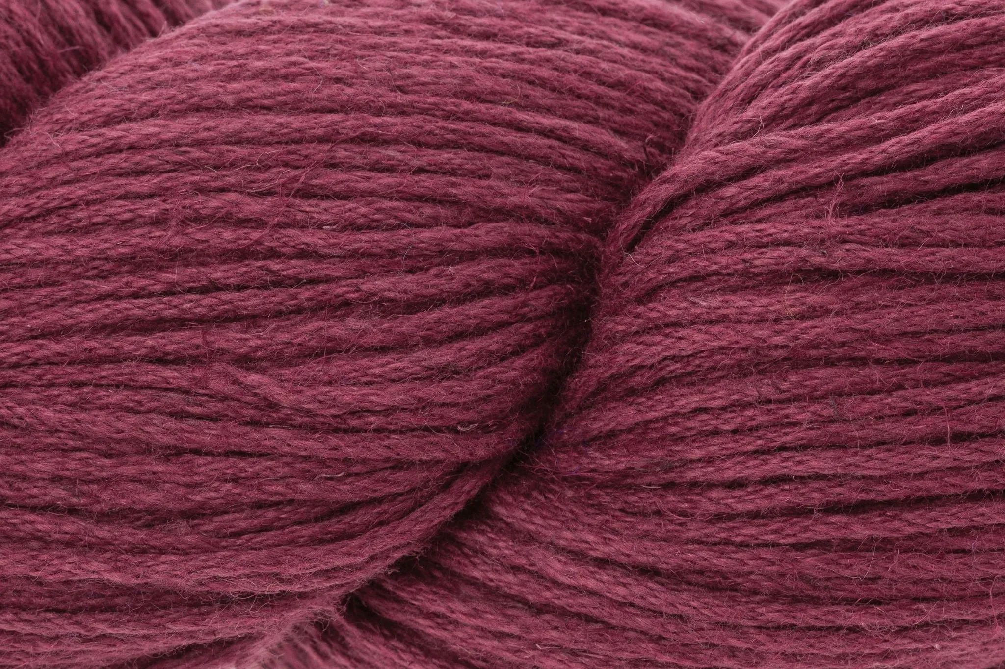 Raspberry-631
